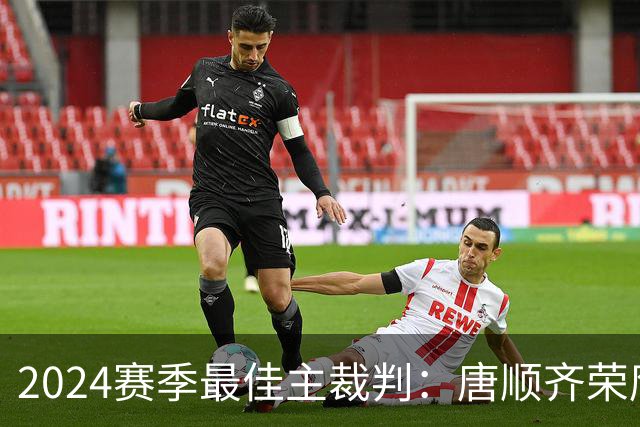 2024赛季最佳主裁判：唐顺齐荣膺金哨 马宁铜哨